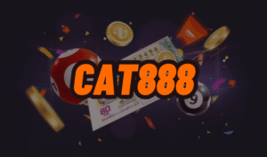 cat888